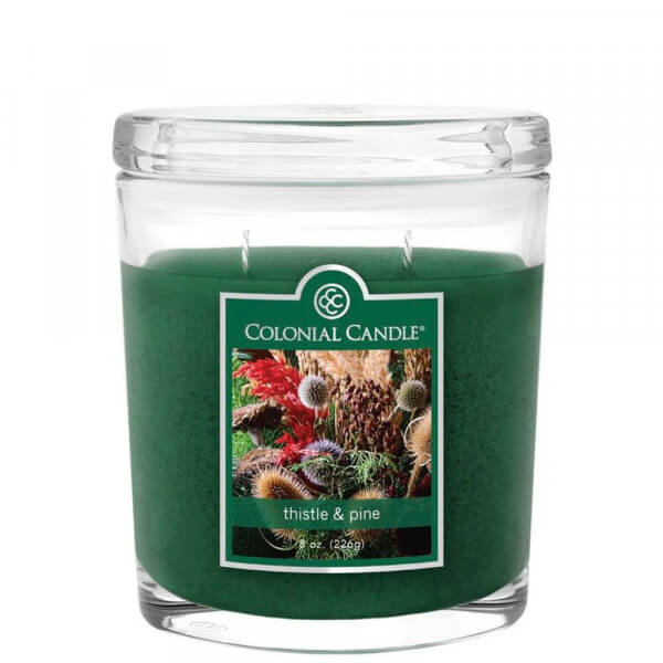 Colonial Candle - Thistle & Pine 226g