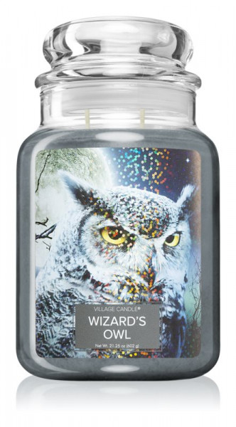 Wizard's Owl (Fantasy Jar) 602g