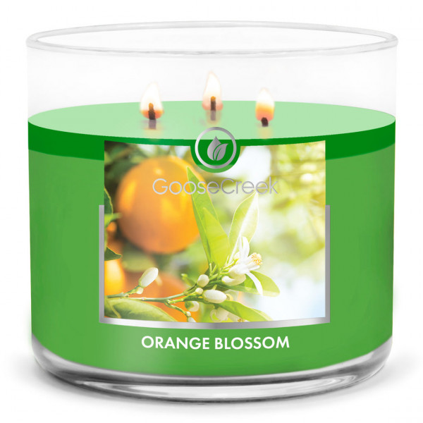 Orange Blossom 411g (3-Docht)