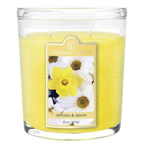 Colonial Candle Daffodils &amp; Daisies 623g