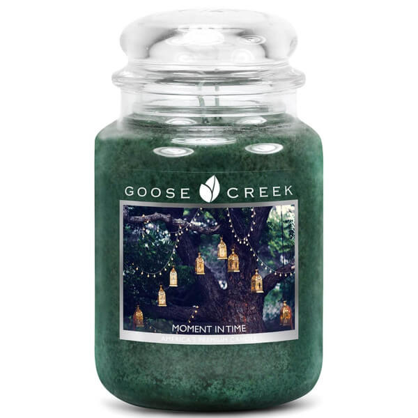 Goose Creek Candle Frozen In Time 680g