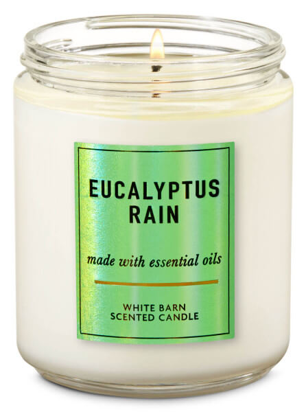 1-Docht Kerze - Eucalyptus Rain - 198g