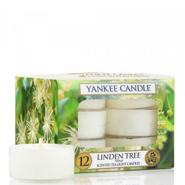 Yankee Candle Linden Tree 12St Teelichte