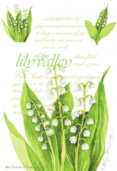 Lily Of The Valley Duftsachet Large 115ml