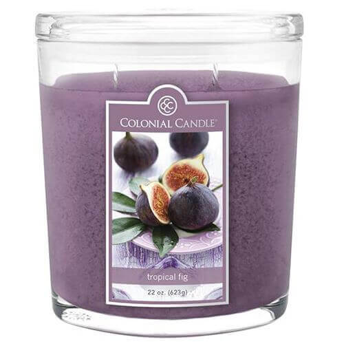 Colonial Candle Tropical Fig 623g