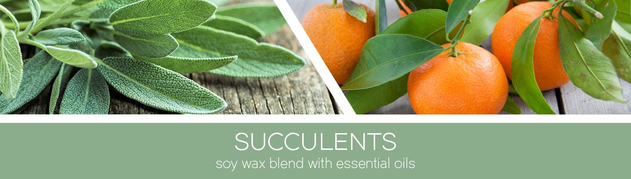 Succulents-Fragrance-Banner