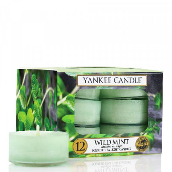 Yankee Candle Wild Mint 12St Teelichte