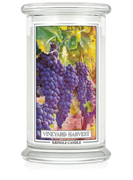 Vineyard Harvest 623g