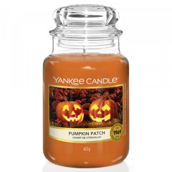 Pumpkin Patch 623g von Yankee Candle 