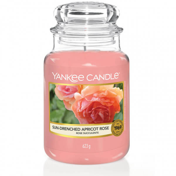 Sun-Drenched Apricot Rose 623g