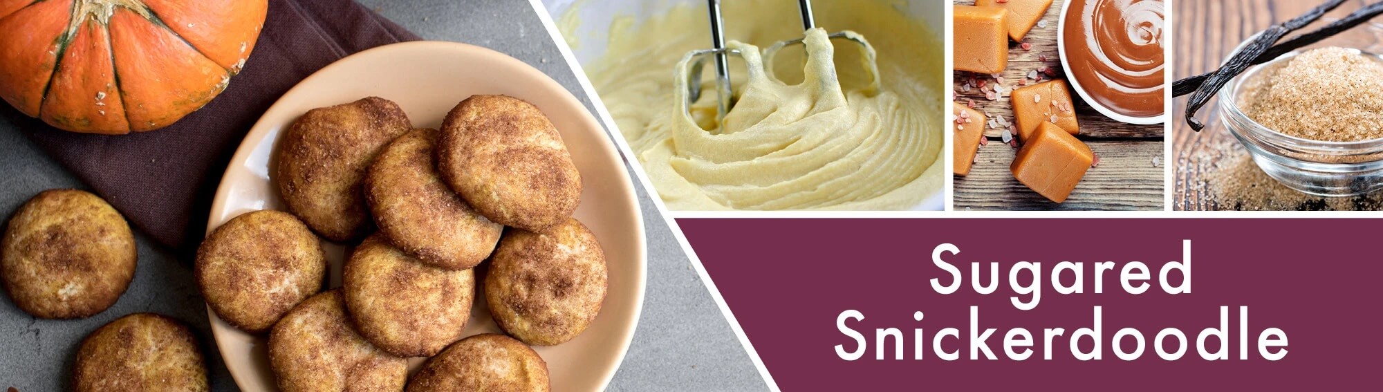 Sugared-Snickerdoodle-Banner