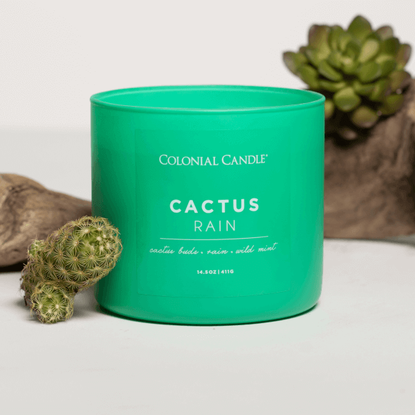 Duftkerze Cactus Rain - 411g
