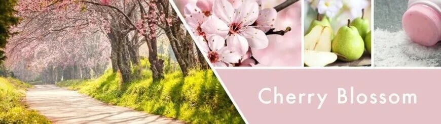 Cherry-BlossomDbCmALYX5HRKR