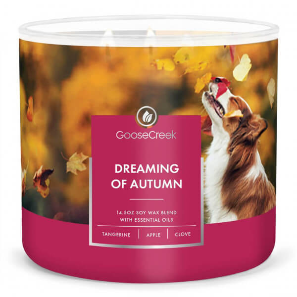 Dreaming of Autumn 411g (3-Docht)