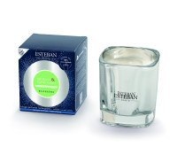 Weißer Tee & Ylang Ylang Duftkerze 170g