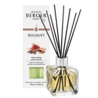 Würzige Welten Raumduft Diffuser