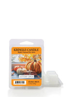 Autumn Spice Wax Melts 64g