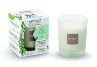 Aloe Blume Duftkerze 180g