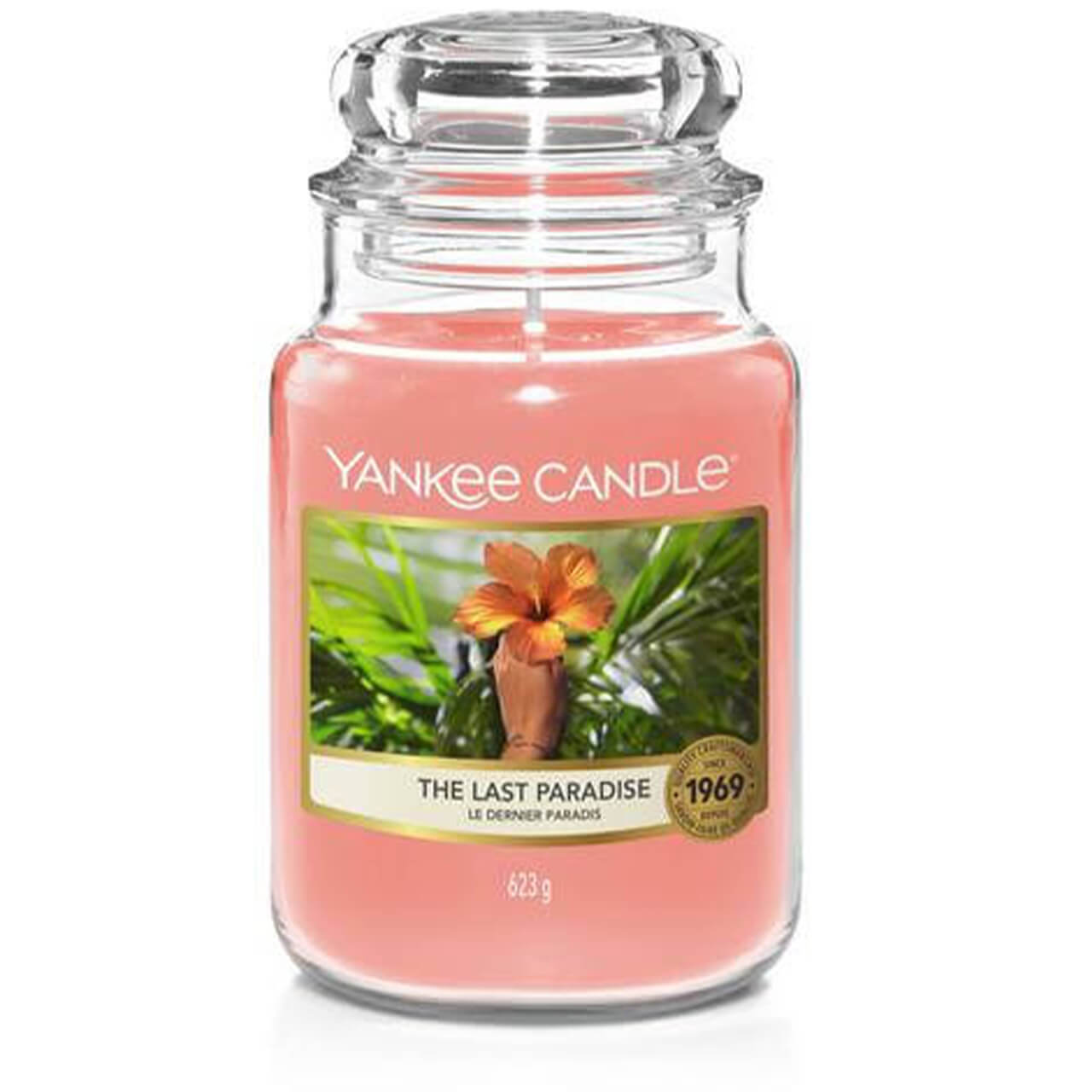 The Last Paradise 623g