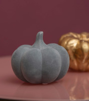 Kürbis Koba flach grau 10,5cm