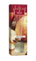 Apple Spice 100ml