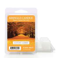 Autumn Amber Wax Melts 64g