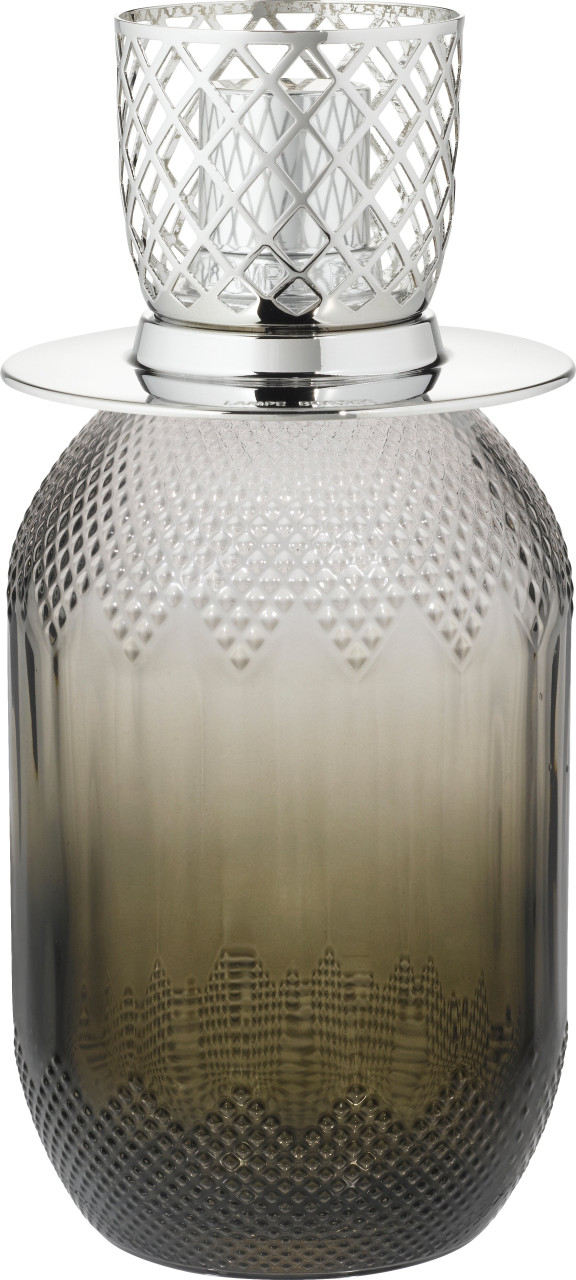 Evanescence Grau - Kraftvolles Leder