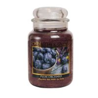 Krug, Obst, Produzieren, Beere, Blaubeere