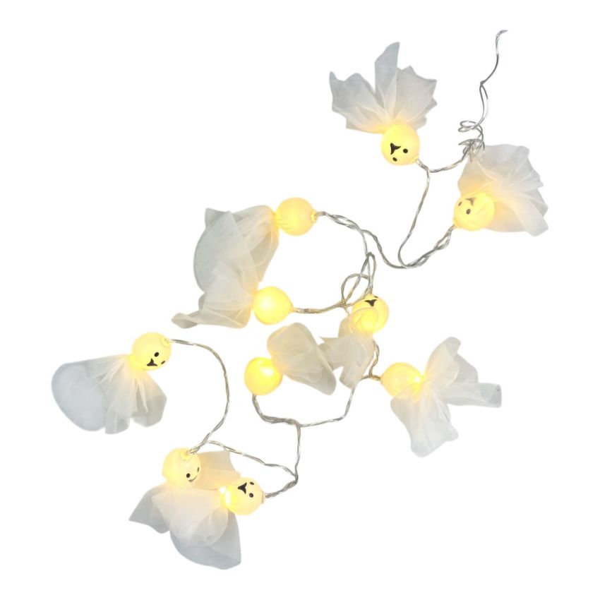 Blume, Pflanze, Lampe