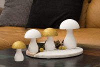 Pilz Palio weiß 10cm