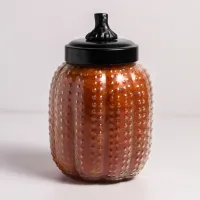 Autumn Orchards - Pumpkin Candle Large 737g