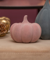 Kürbis Koba flach altrosa 9cm