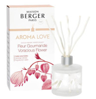 Raumduft Diffuser Aroma Love