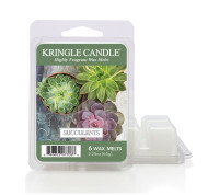 Succulents Wax Melts 64g