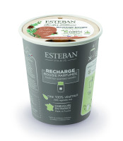 Wilder Zeder Nachfüller für Duftkerze 180g