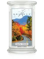 Elektronik, Handy, Telefon, Pflanze, Baum