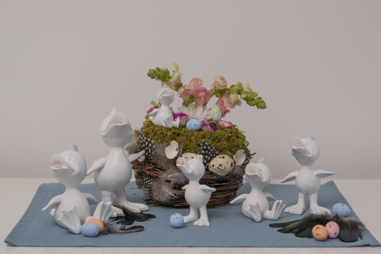 Küken Pedro L sitzend