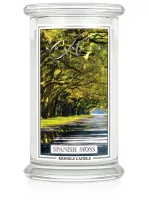 Spanish Moss 623g