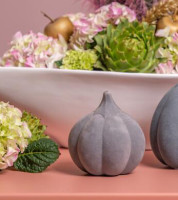 Kürbis Koba hoch grau 11,5cm