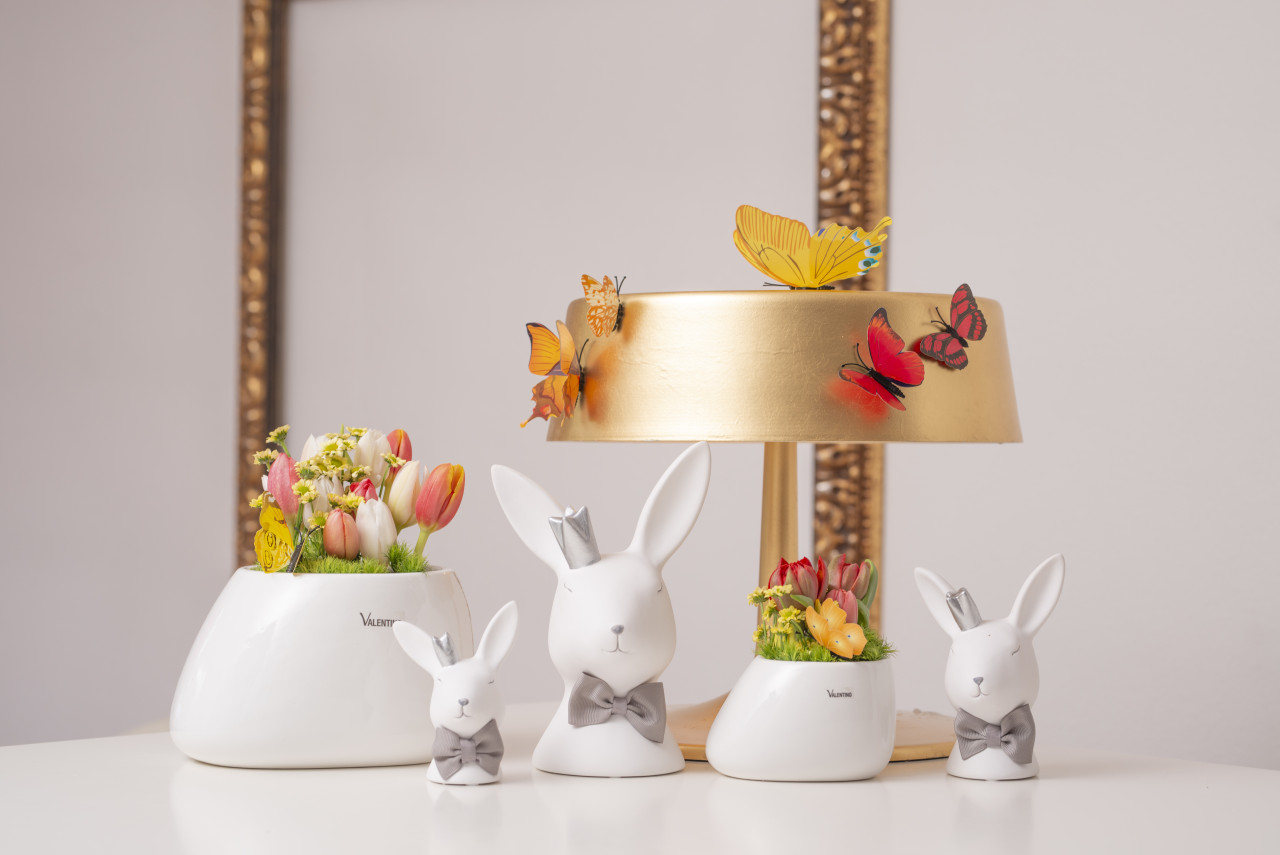 Hase Aurelia L mit Fliege