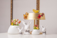 Hase Aurelia S mit Fliege